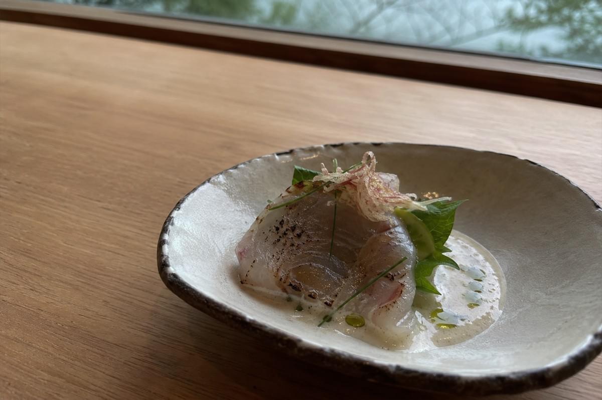 A meticulously plated seafood dish is presented in a shallow, rustic ceramic bowl with a dark, textured rim and an off-white glaze. The dish features translucent, thinly sliced pieces of raw white fish, delicately seared along the edges with subtle char marks, resting in a creamy, pale sauce dotted with vibrant green herb oil. The fish is beautifully garnished with a bright green shiso leaf, fine strands of chives, and a nest of translucent, shaved myoga ginger. The bowl sits on a smooth, light-grained wooden counter or tabletop in the lower right foreground, while the background transitions into a large window offering a soft-focus, serene view of a river or body of water framed by lush, green trees outside, filling the scene with calm, natural light.