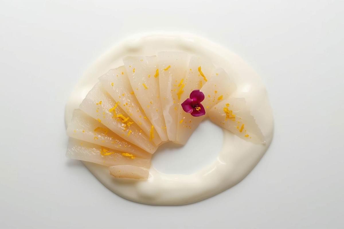 Top-down view of thinly sliced white fish sashimi arranged in a fan shape over a white cream sauce, garnished with yellow zest and a purple edible flower.
