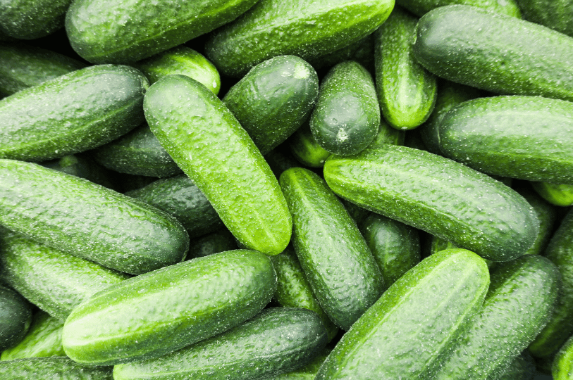 A close-up view of crisp, vibrant green cucumber slices elegantly arranged on a rustic wooden cutting board.