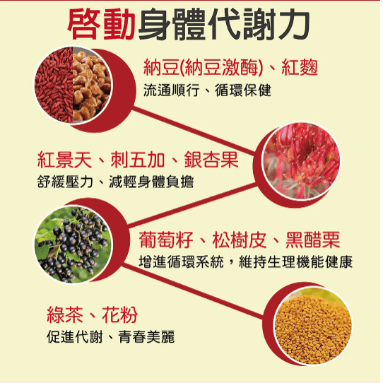 納豆紅麴膠囊-60顆入