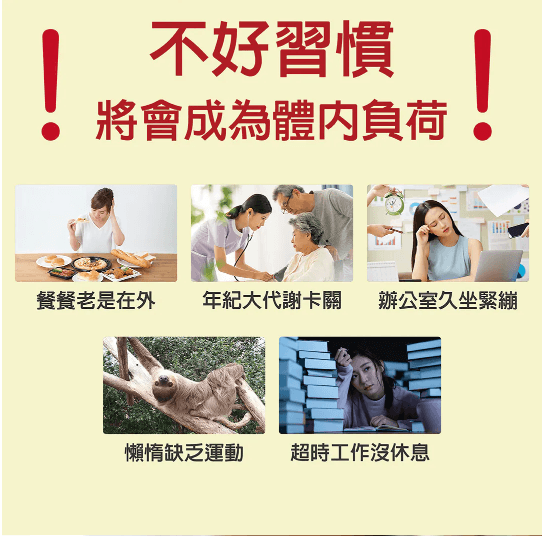 納豆紅麴膠囊-60顆入