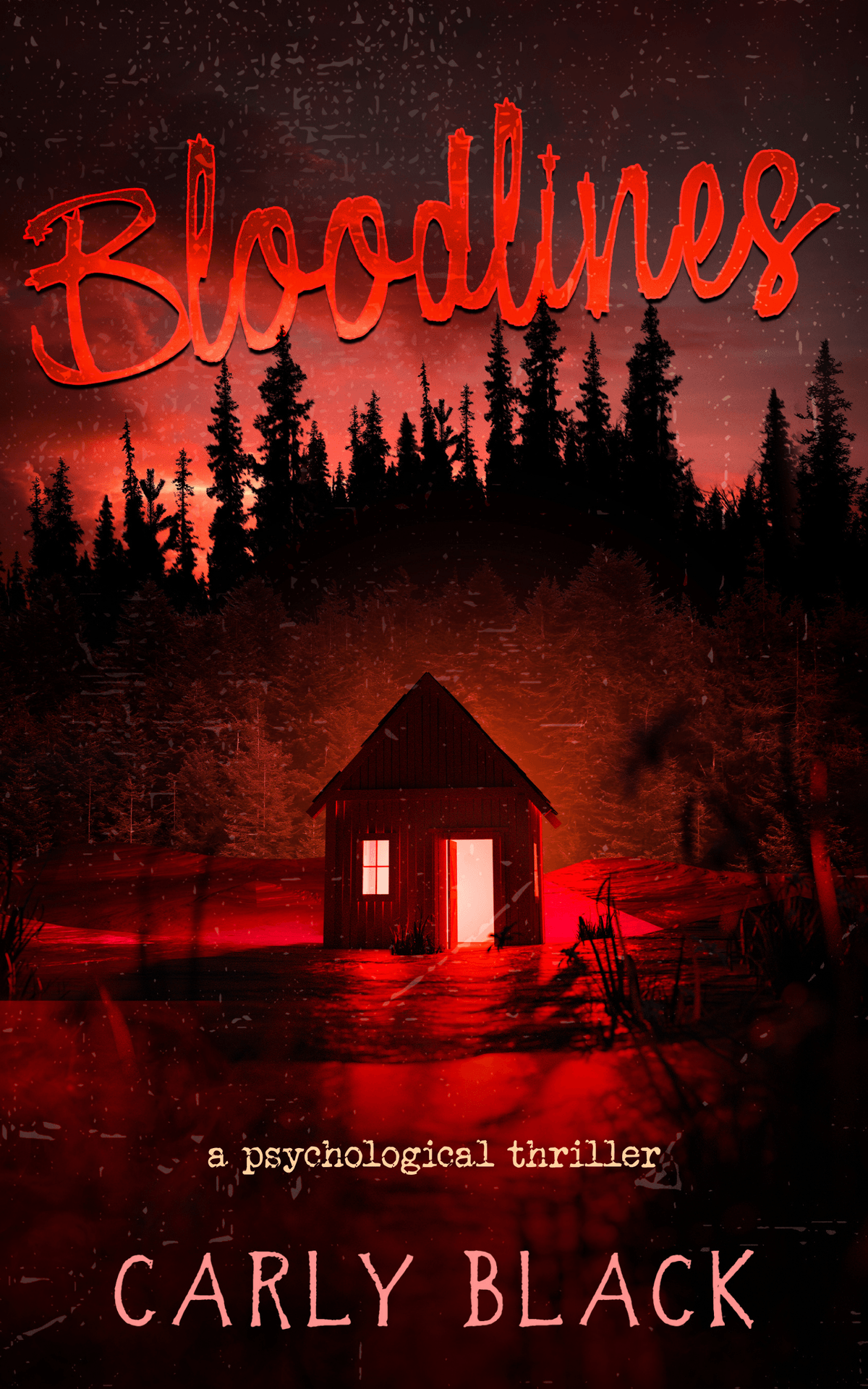 Meet unforgettable characters who will steal your heart and challenge your mind. Whether they are heroes, villains, or romantic leads, each character is crafted with depth and complexity to resonate with readers. Engaging Characters What We Write Carly is an author with two pen names. As Carly Black, she writes mystery, suspense, and thrillers. Under Carly Bryant, she writes romance and romantacy.
