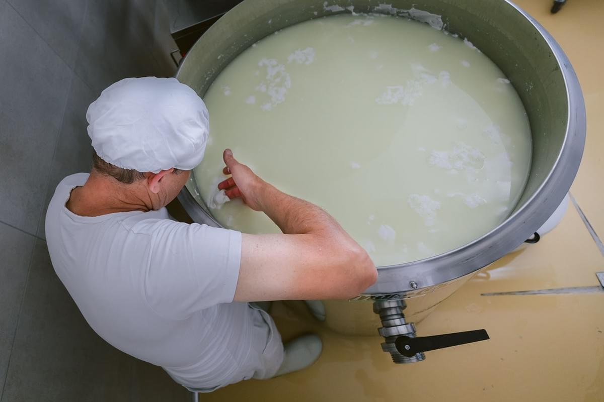 Ziegenbauer David in der Käserei 