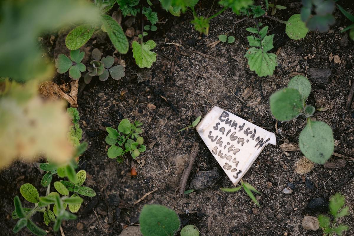 Ein Schild auf dem Boden in einem Garten