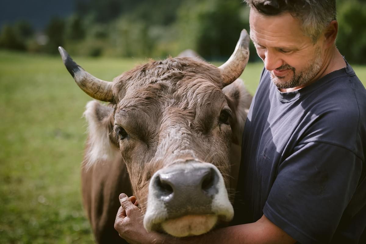 Landwirt kuschelt mit einer Kuh