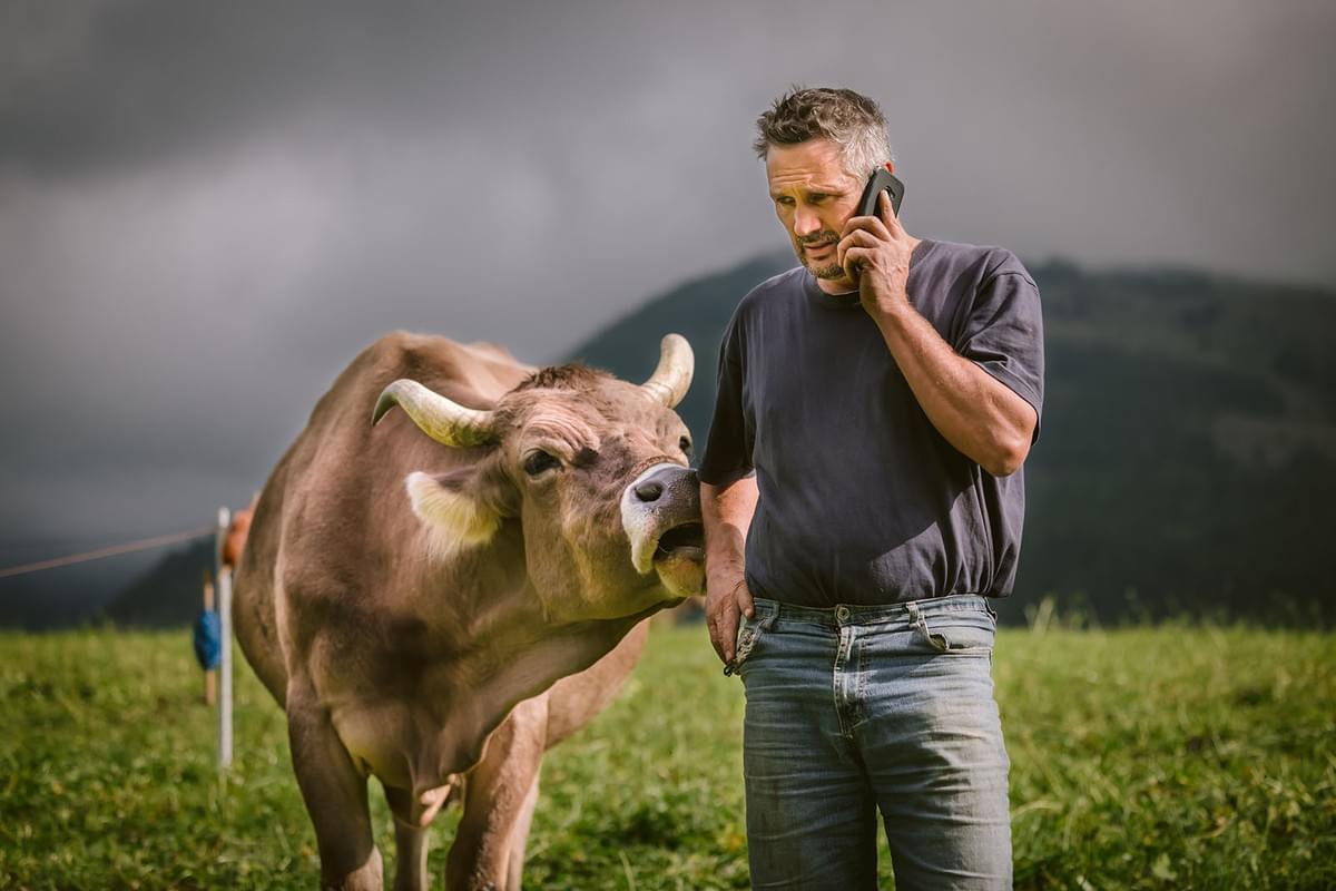 Landwirt mit Handy und Kuh