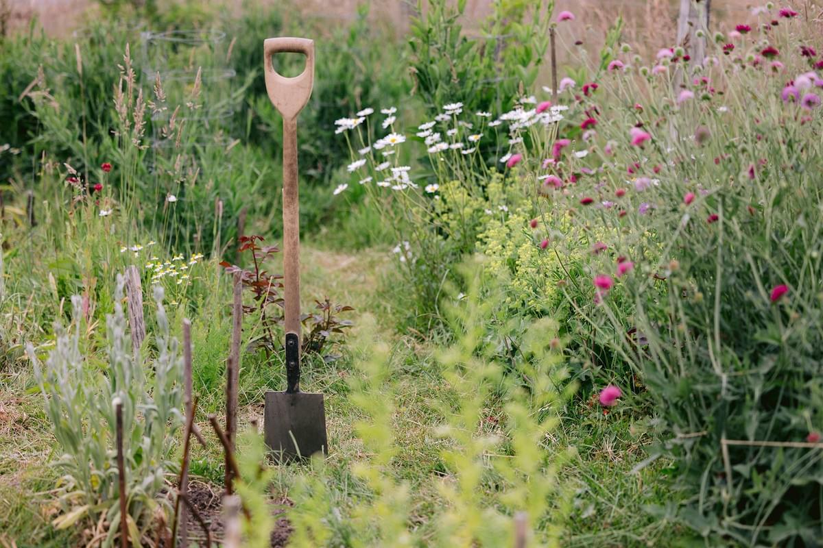 Ein Sparten im Garten 