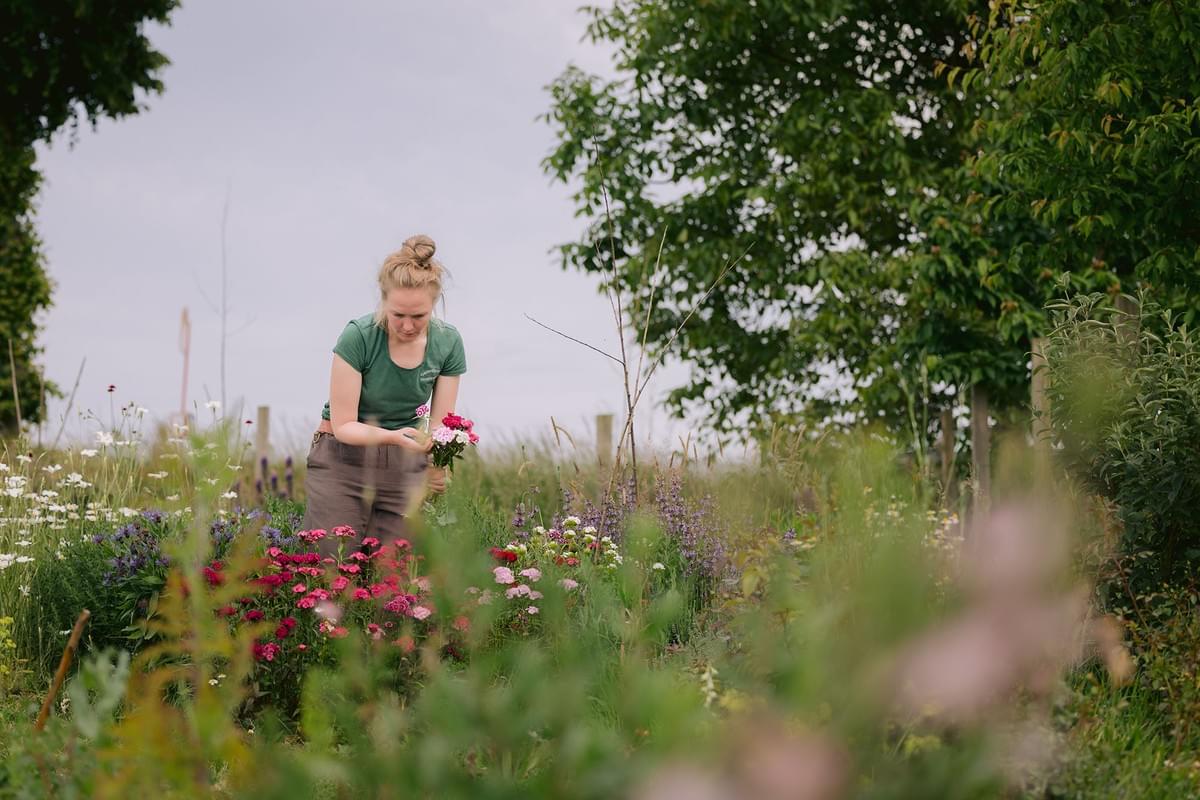 Eine junge Frau erntet Blumen in einem Garten