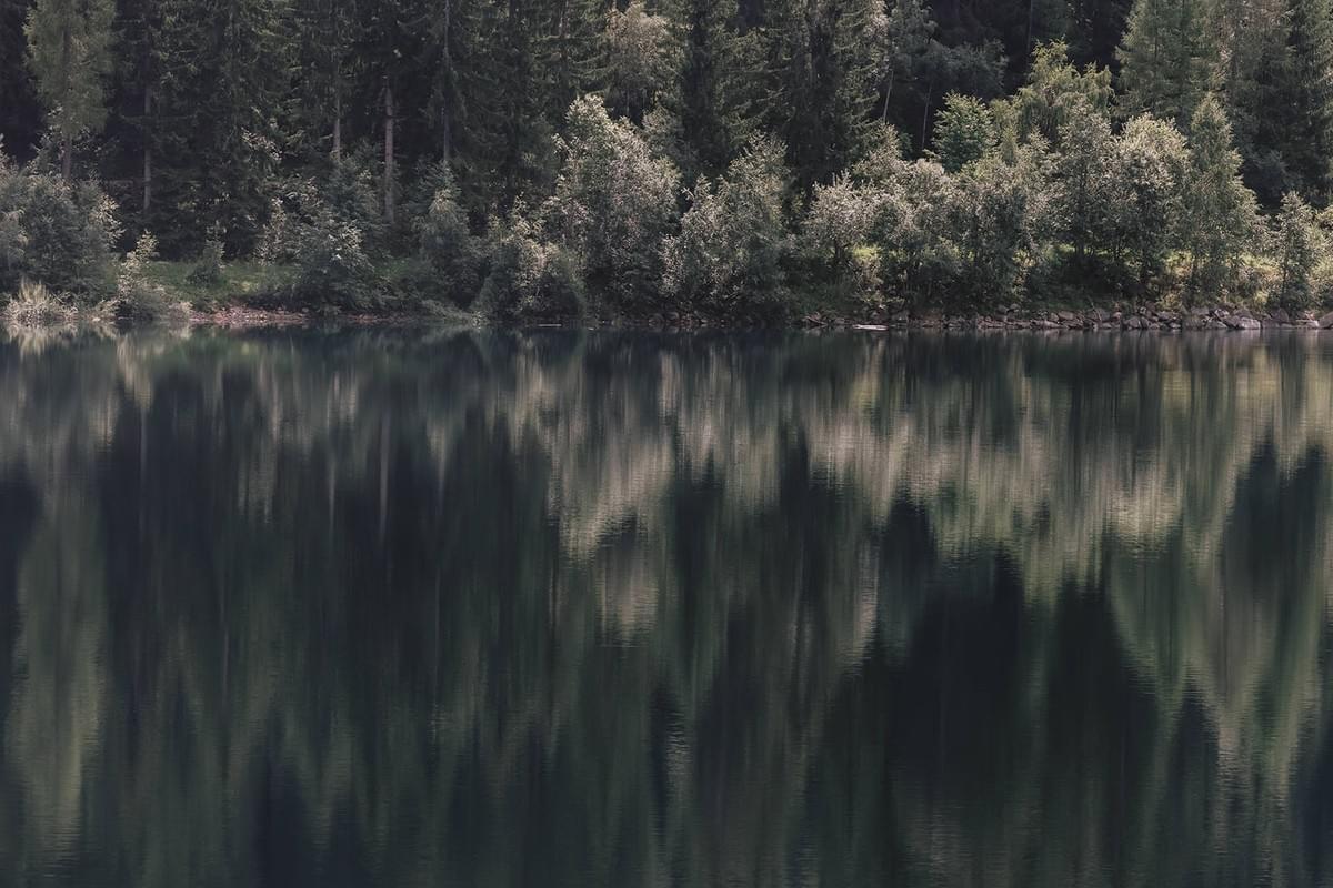 Blick auf See mit Spiegelung von grünen Bäumen