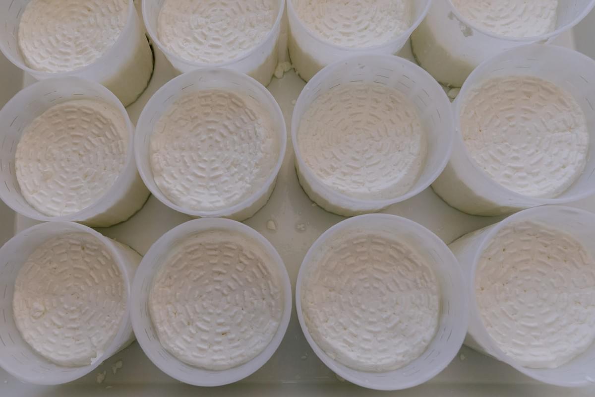 Ziegenfrischkäse