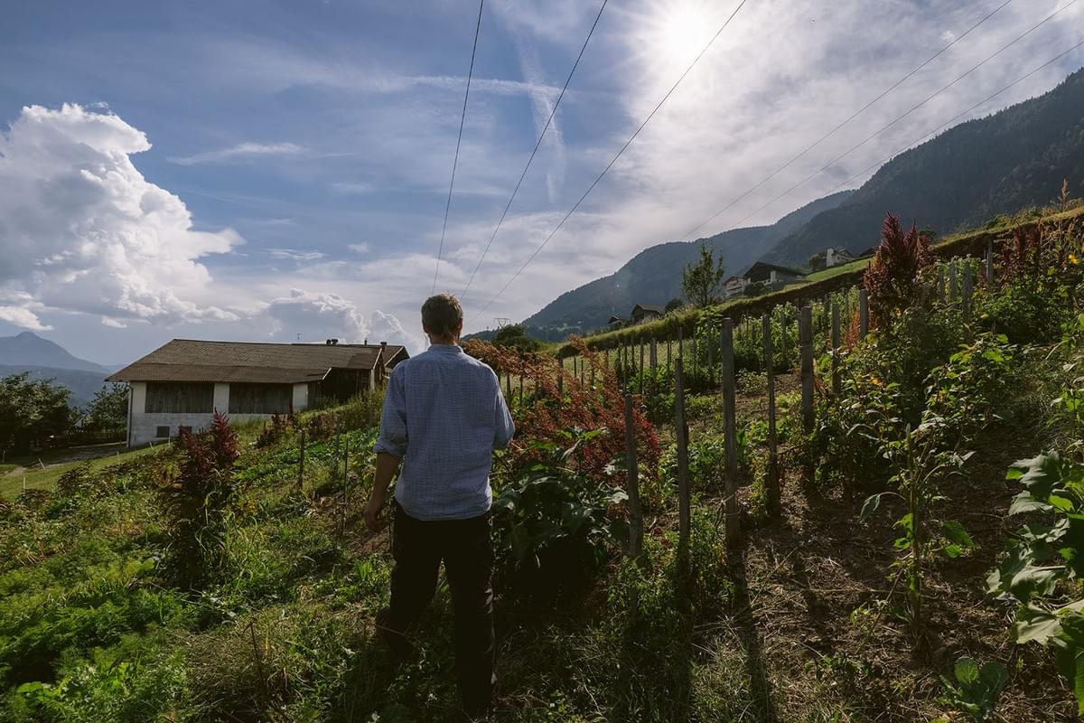 Ein Bauer geht durch seinen Gemüsegarten
