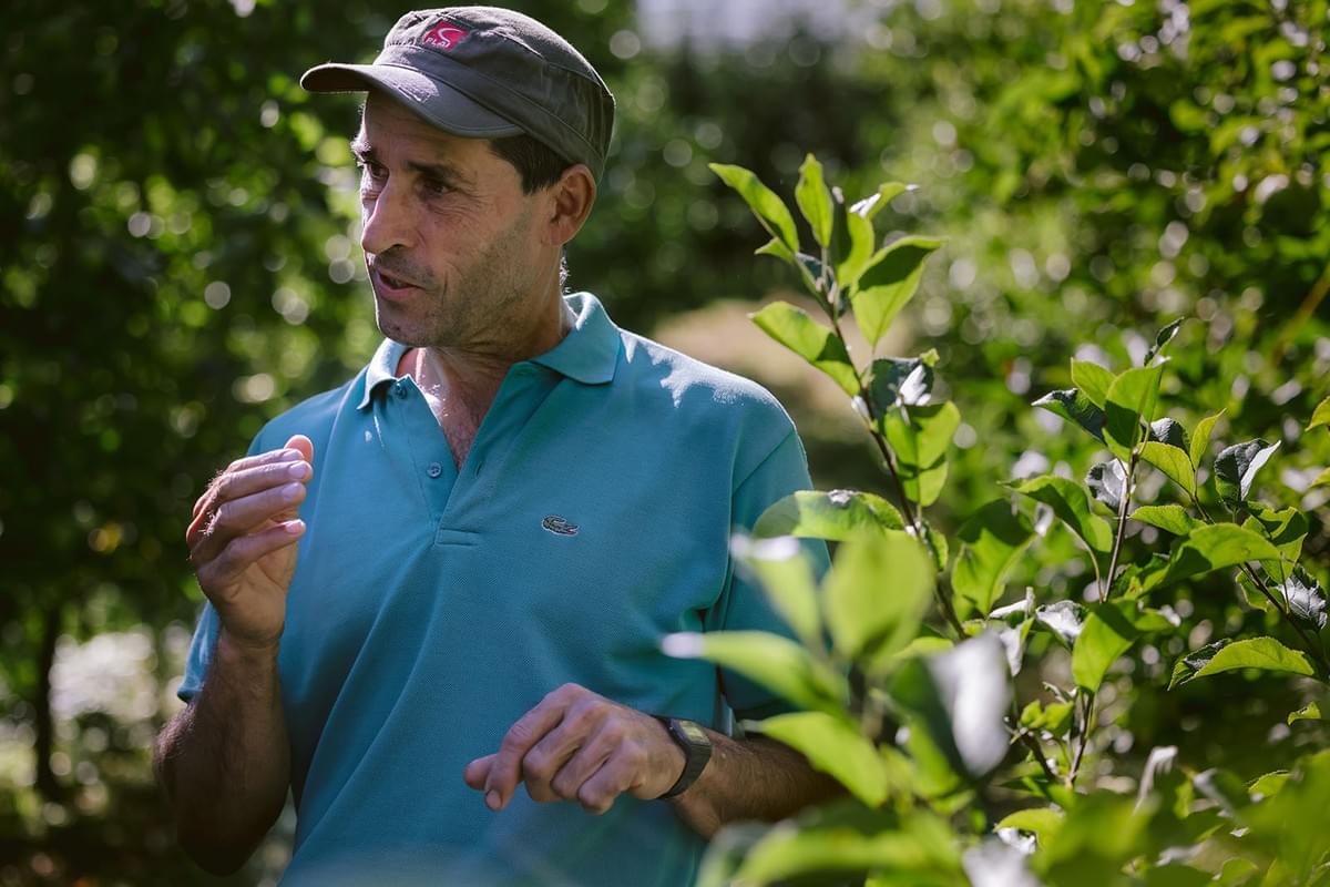 Obstbauer Walter Margesin erklärt etwas