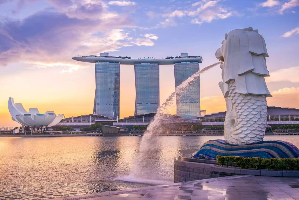 Singapore study abroad intermediary