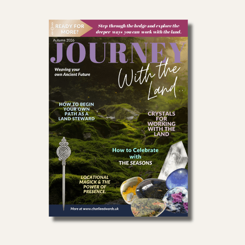 Journey with the land free zine 