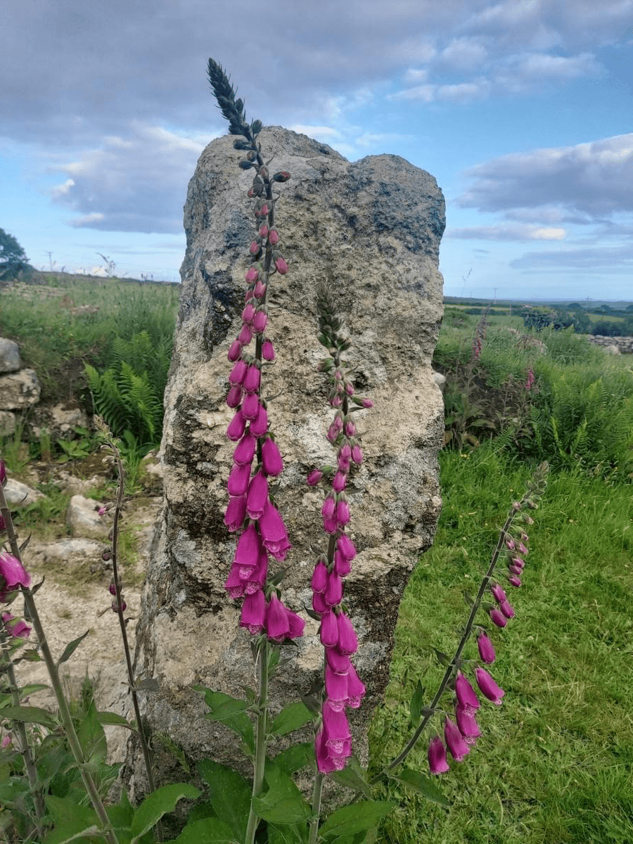 — Jake Ramirez “Charlie’s insights helped me navigate through my creative blocks. I felt truly seen and understood.”  Discover how my guidance has transformed the journeys of countless seekers I am a story seer, liminal chantress, and weaver of realms.