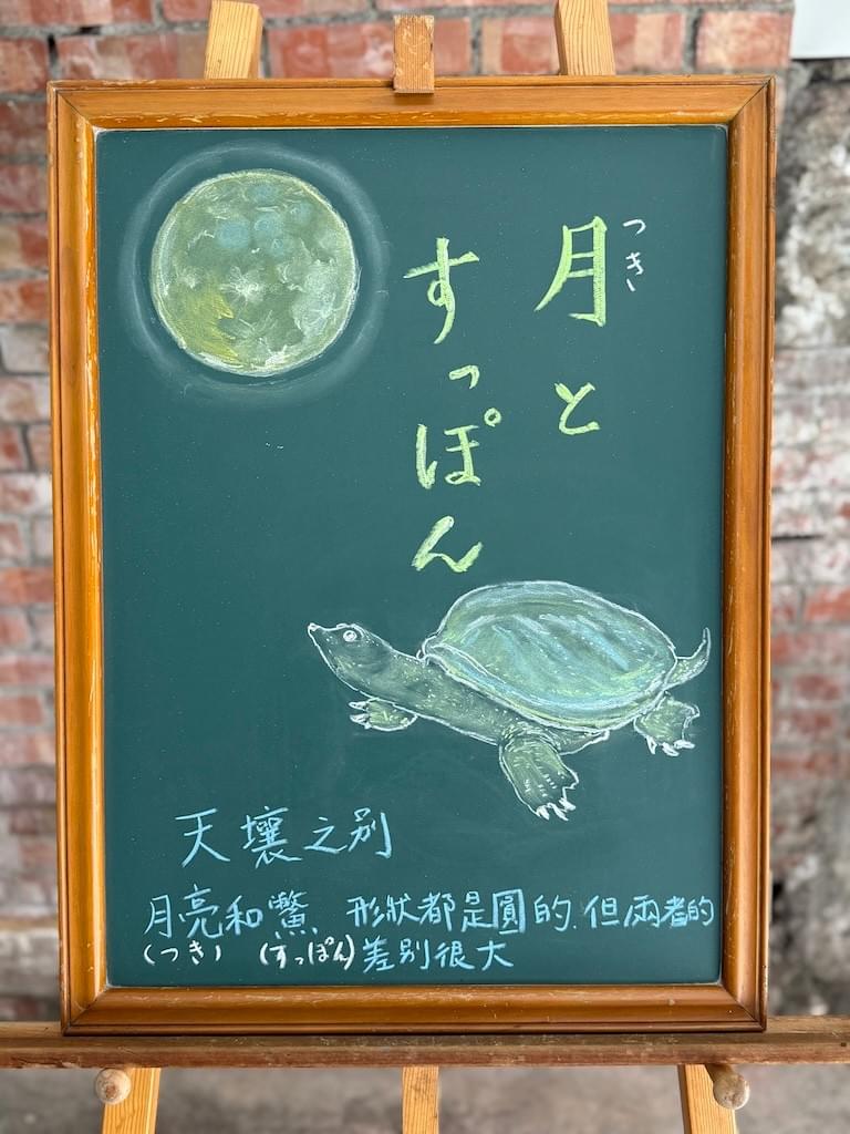 小さい黒板にチョークで絵が描いてあります。日本語のことわざ・慣用表現を紹介するための絵です。右上に二行縦書きで「月と/すっぽん」と書いてあります。その左に丸い満月のイラストがあり、下部にすっぽんのイラストが描いてあります。すっぽんは首を持ち上げ上を向いています。下部にこのことわざに相当する中国語の説明が横書きで描いてあります。天壤之別 月亮(つき)和鱉(すっぽん)的形狀都是圓的，但兩者的差別很大