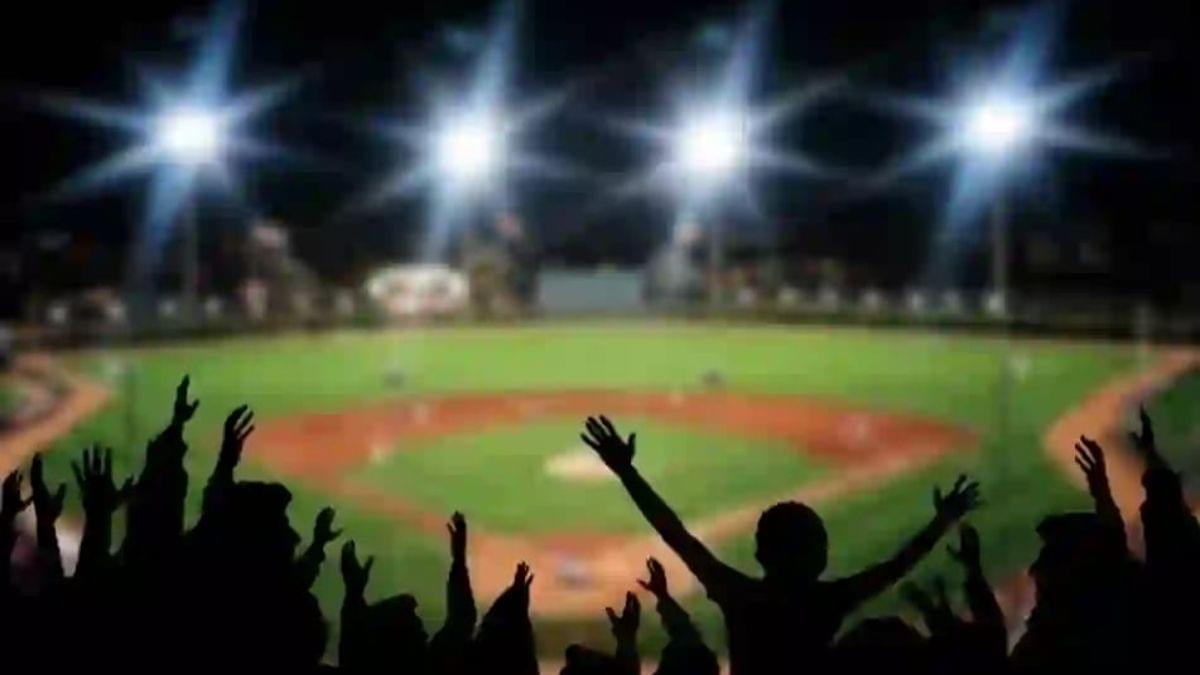Baseball fans cheering in the stands.