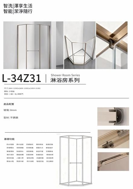 L-34Z31