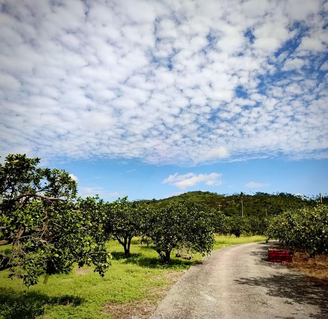 Participate in various cultural activities, deeply experience the characteristics and customs of Ruishui. cultural experience activity The services we provide Introduction to the local real estate, cultural landscape, travel itinerary, food shops, and other information in Ruifeng.