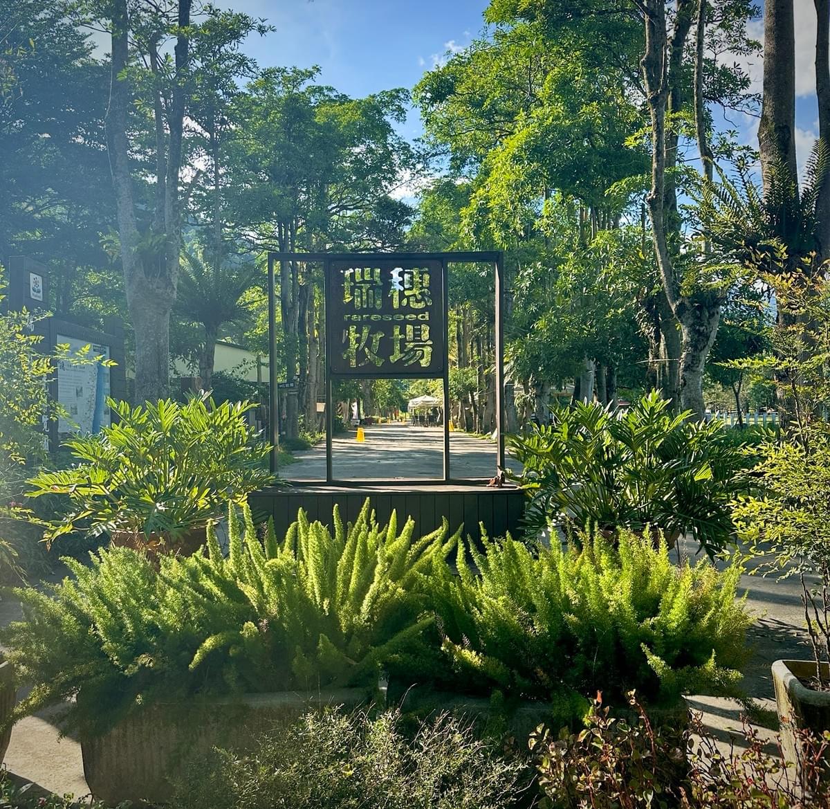 Participate in various cultural activities, deeply experience the characteristics and customs of Ruishui. cultural experience activity The services we provide Introduction to the local real estate, cultural landscape, travel itinerary, food shops, and other information in Ruifeng.