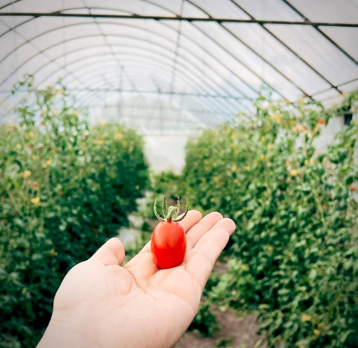 Participate in various cultural activities, deeply experience the characteristics and customs of Ruishui. cultural experience activity The services we provide Introduction to the local real estate, cultural landscape, travel itinerary, food shops, and other information in Ruifeng.