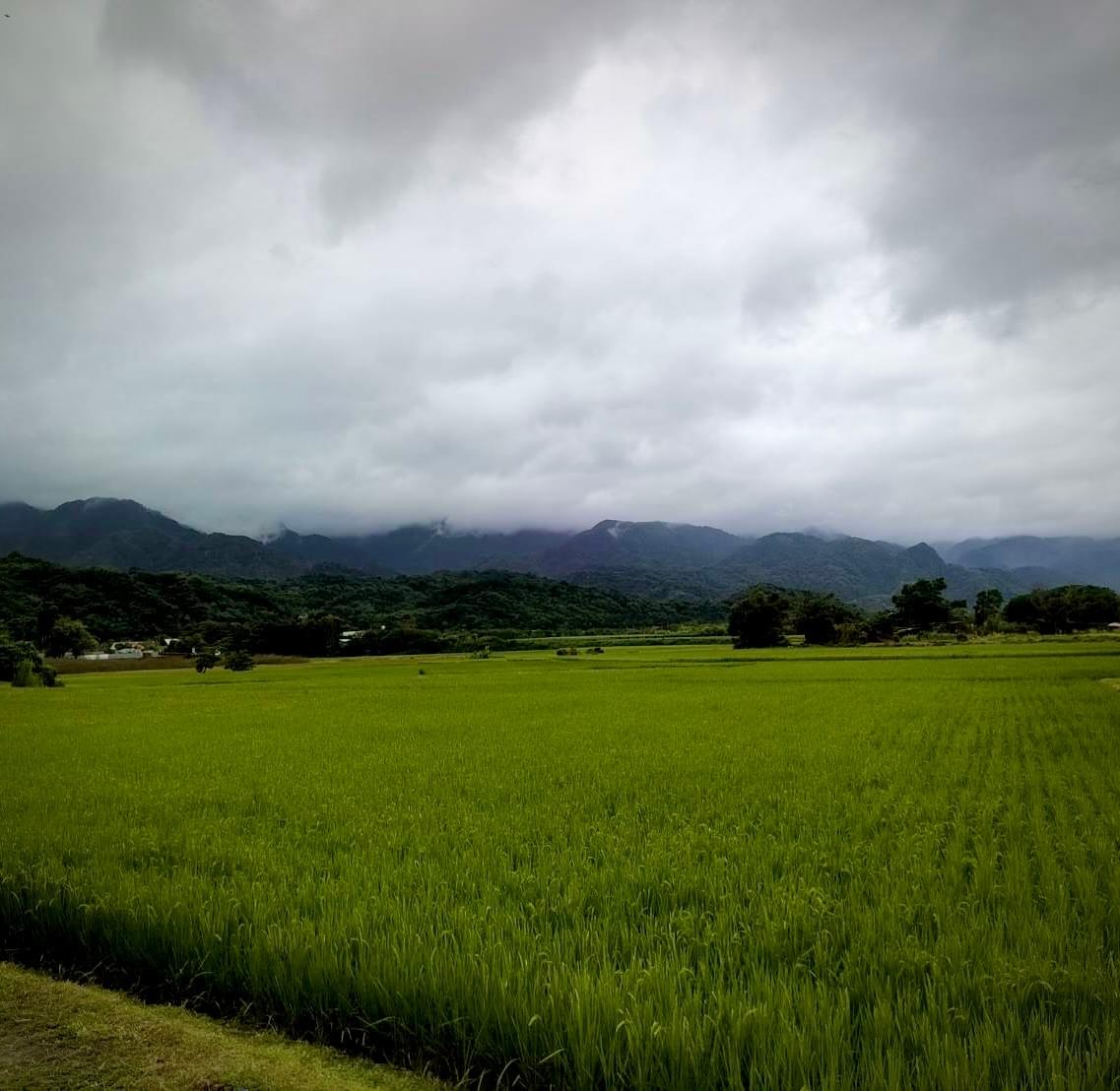 Participate in various cultural activities, deeply experience the characteristics and customs of Ruishui. cultural experience activity The services we provide Introduction to the local real estate, cultural landscape, travel itinerary, food shops, and other information in Ruifeng.