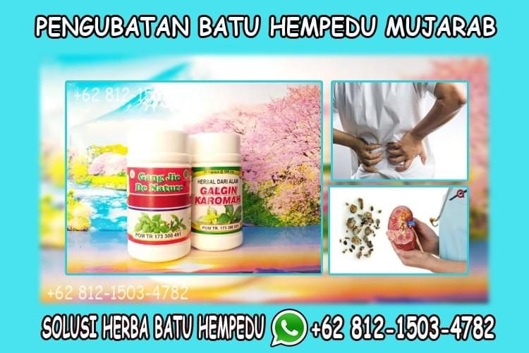 Ubat Batu Hempedu Paling Mujarab Di Farmasi Dan Waston