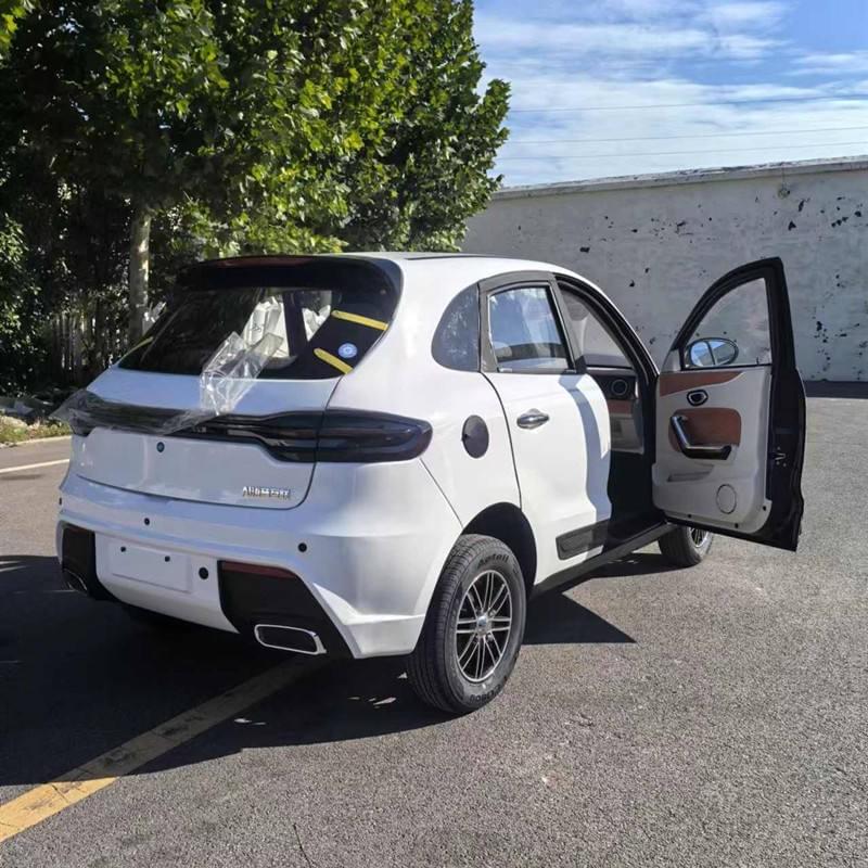 Fully Enclosed Household Use New Energy Vehicles Electric Car Chinese Mini Electric Car Electric Adu