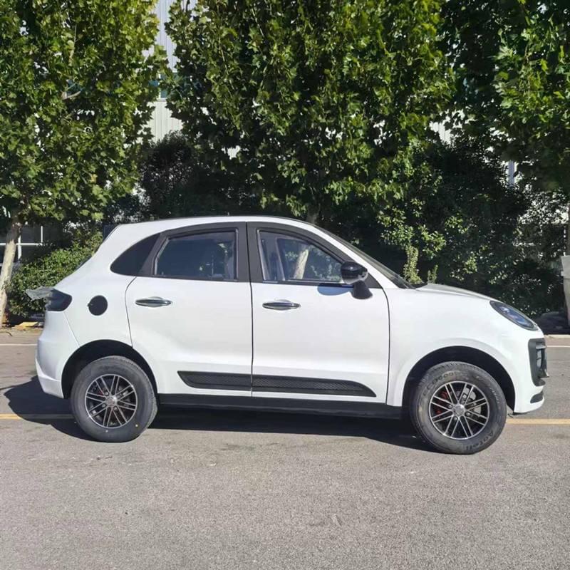 Fully Enclosed Household Use New Energy Vehicles Electric Car Chinese Mini Electric Car Electric Adu