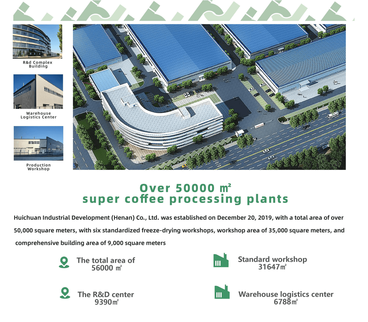 Sunjoy Cold Brew Freeze-Dried Coffee – Visible Granules, Aromatic Aroma, Layered Taste