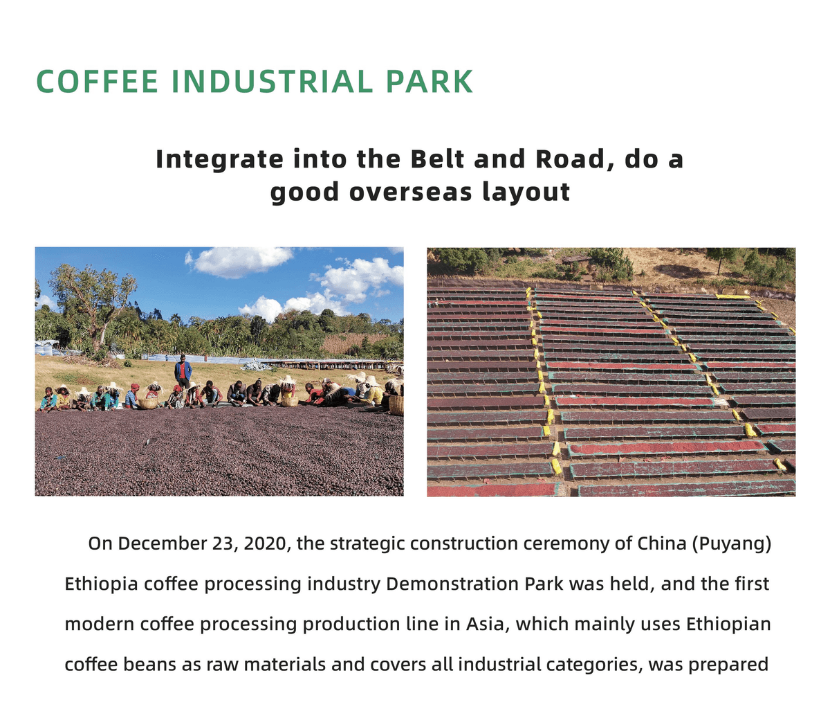 Sunjoy Cold Brew Freeze-Dried Coffee – Visible Granules, Aromatic Aroma, Layered Taste