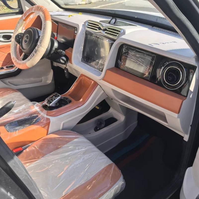 Fully Enclosed Household Use New Energy Vehicles Electric Car Chinese Mini Electric Car Electric Adu