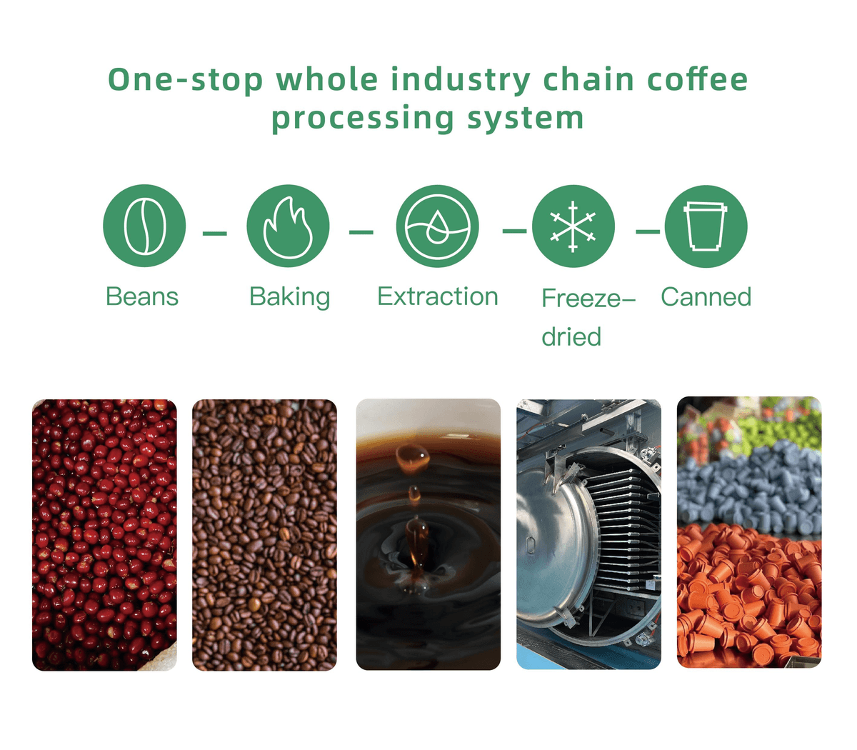 Sunjoy Cold Brew Freeze-Dried Coffee – Visible Granules, Aromatic Aroma, Layered Taste