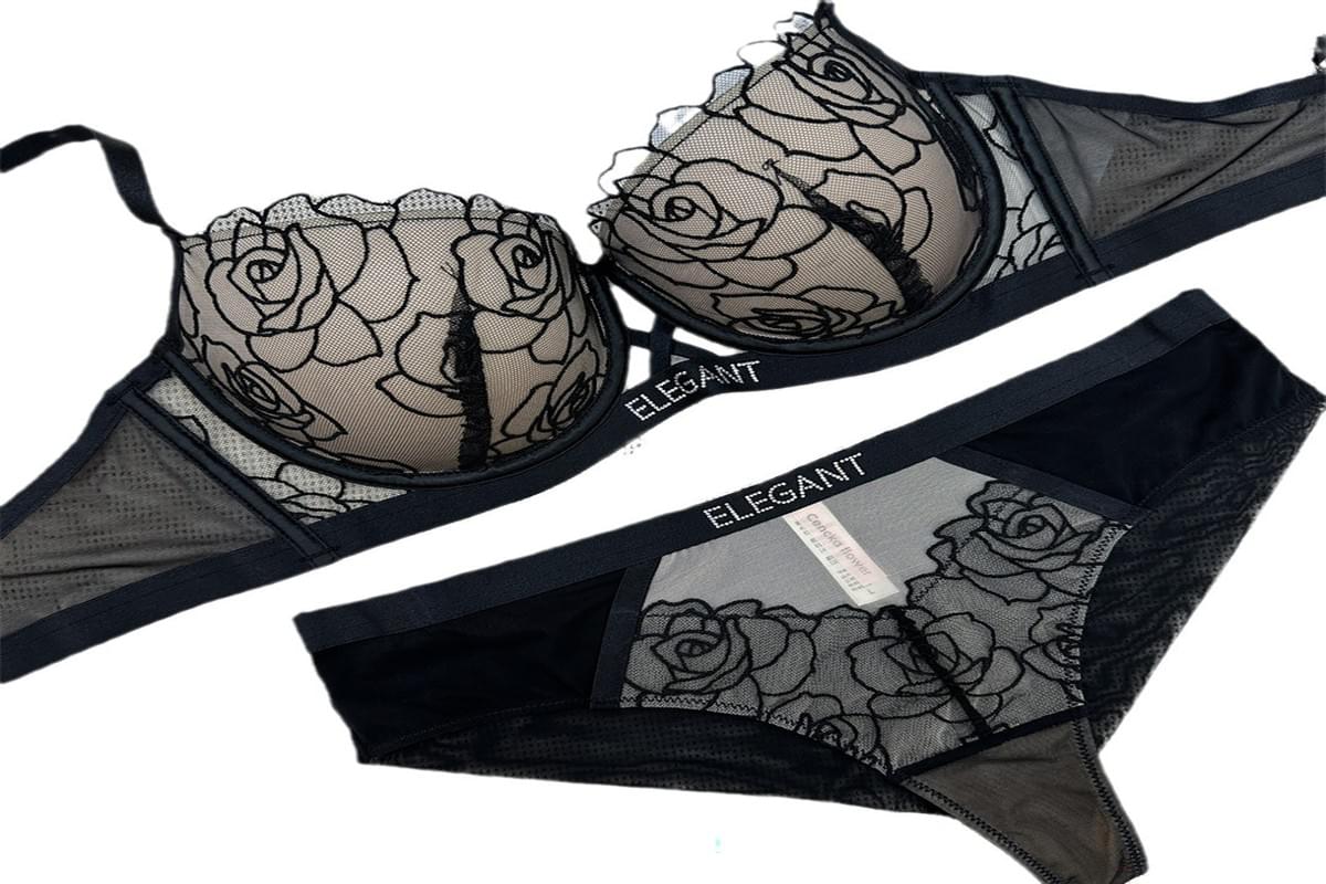  Embroidered Lace Bra Set