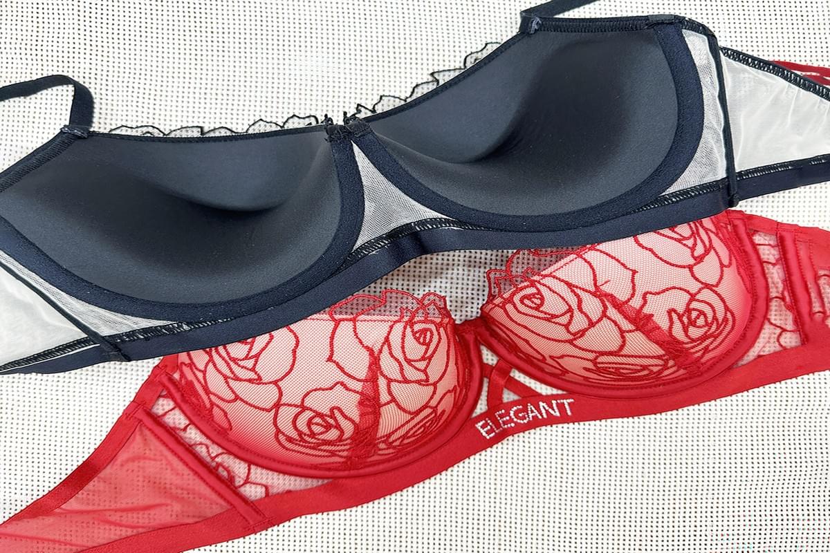  Embroidered Lace Bra Set