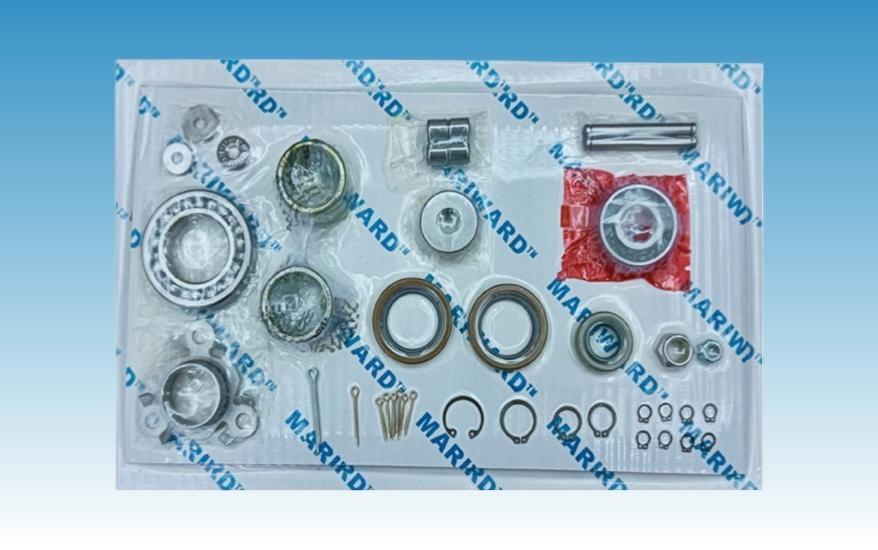 调速器修理包 PGA58