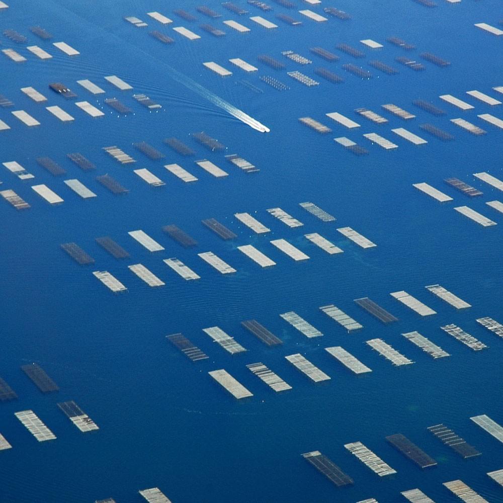 Vol au-dessus de l'étang de Thau avec l'aéroclub de Montpellier
