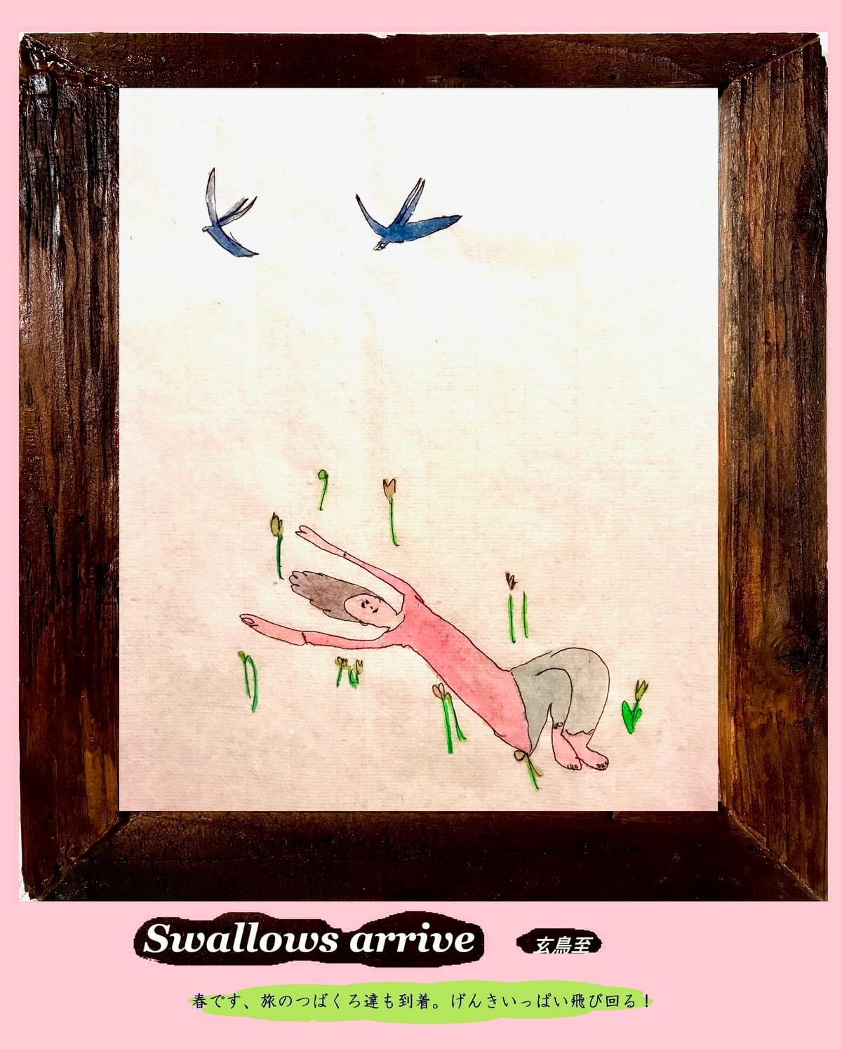 玄鳥至　　ツバメ来る頃