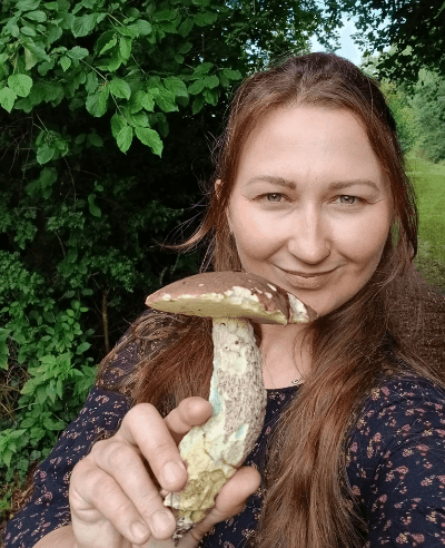 In the photo: Birch Bolete – Latin: Leccinum scabrum (Polish: Koźlarz babka)