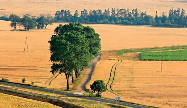 Biodiversidade: Descumprimento das Metas de Aichi lança...