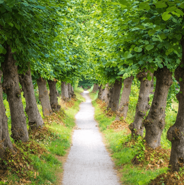 At Domaintelligent Technology Co., Ltd., we excel in distributing cutting-edge AI products that empower businesses to streamline operations and enhance productivity. Our portfolio includes state-of-the-art tools designed to meet the diverse needs of various industries, ensuring that our clients stay ahead in the competitive landscape. AI Product Distribution What We Do Specializing in AI product distribution and software developmentIn today's dynamic landscape where innovation is the key to success, Domaintelligent Tech. Co., Ltd., or DoIT, stands as a beacon of excellence in the realm of Artificial Intelligence (AI) industry software. Founded with a vision to revolutionize technological solutions across diverse sectors, DoIT specializes in the distribution of AI products and the development of bespoke software catering to the unique needs of clients spanning various industries.