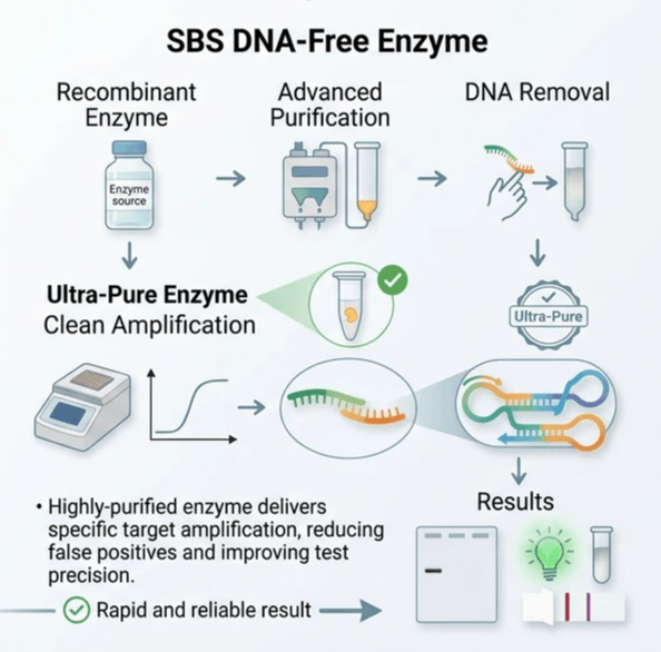 SBS DNA-Free Enzyme - SBS Genetech