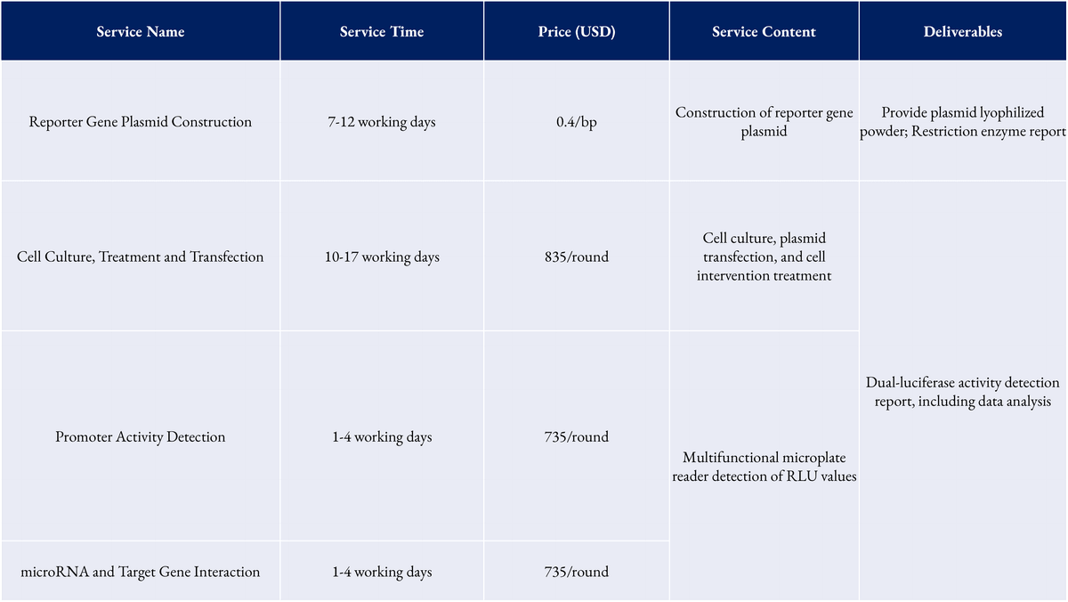 Dual-Luciferase Reporter Gene Detection Service