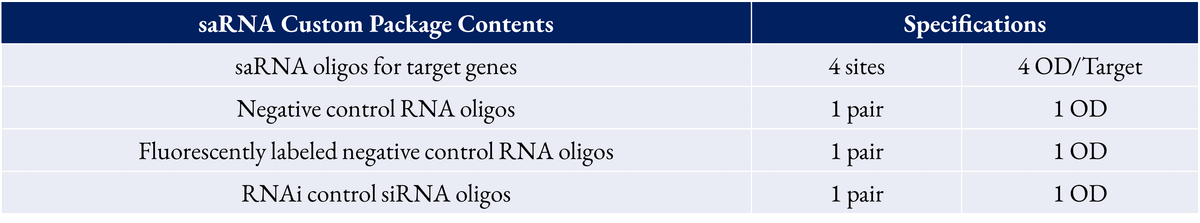 Small Activating RNA (saRNA) Synthesis