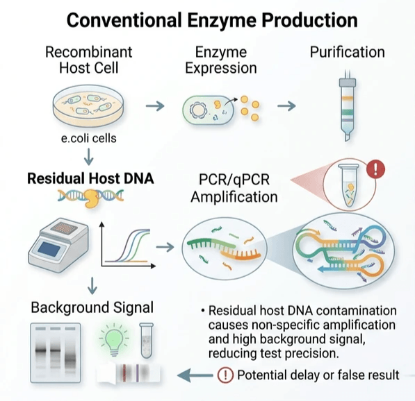 Conventional Enzyme Production - SBS Genetech