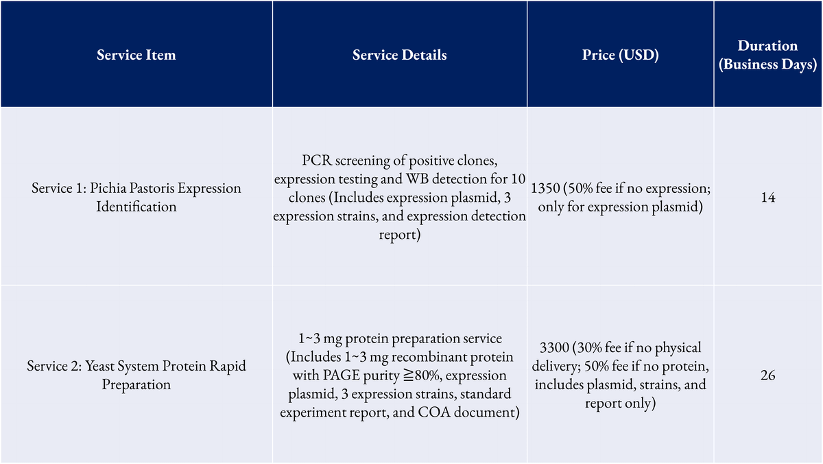 Yeast System Protein Expression and Purification