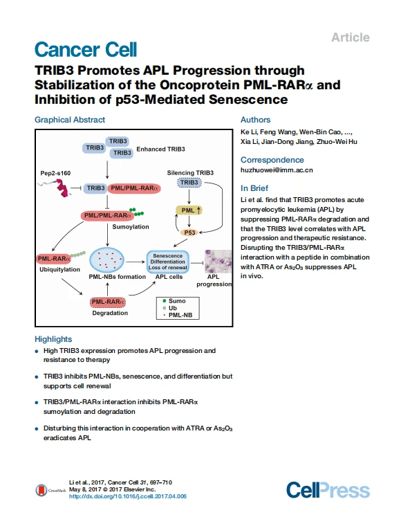 Cancer Cell - SBS Genetech