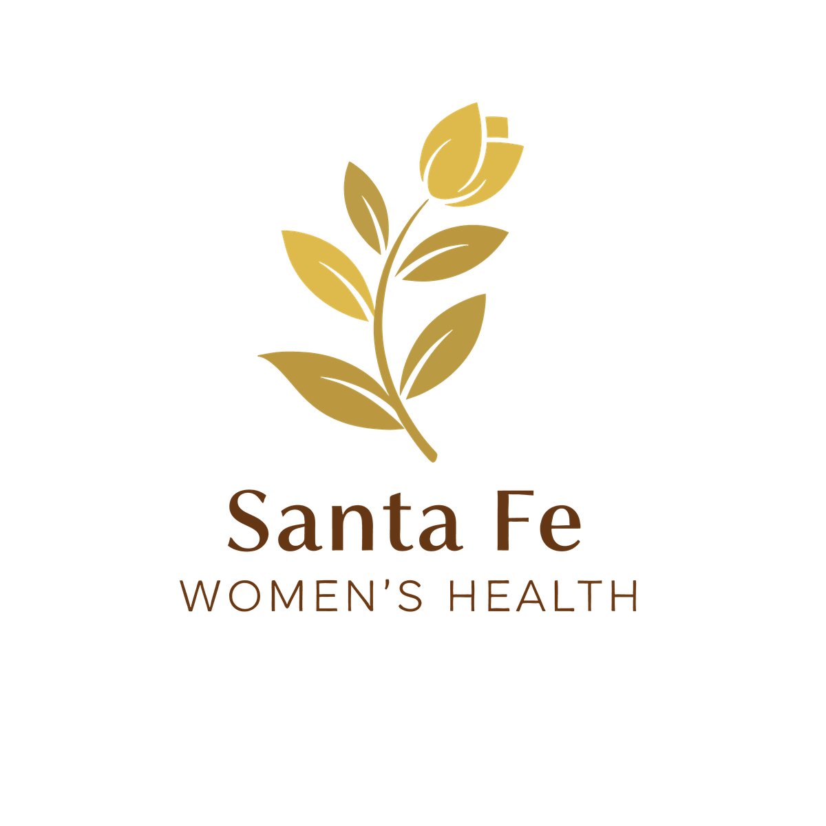At Santa Fe Women's Health, we focus on integrative medicine, providing personalized care that combines traditional and holistic approaches to promote your well-being. Your Partner in Women's Health women's health, integrative medicine, primary care, coaching, holistic, herbs, functional medicine