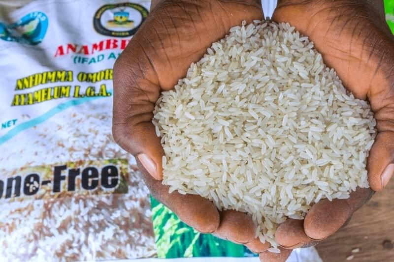 Nigeria Long Rice