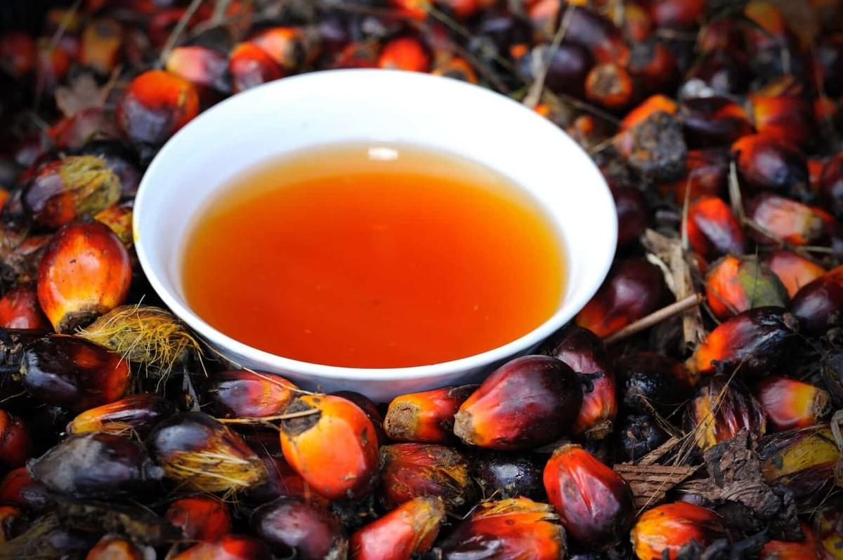 Nature Nigerian Palm Oil